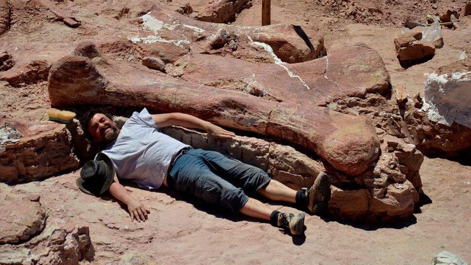 dinosaure-argentin-plus-grand-du-monde